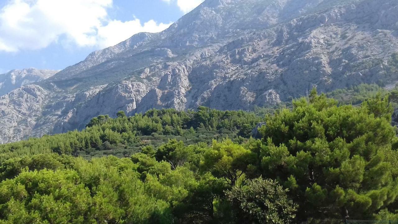 Studio With Magic View Podgora Exterior foto